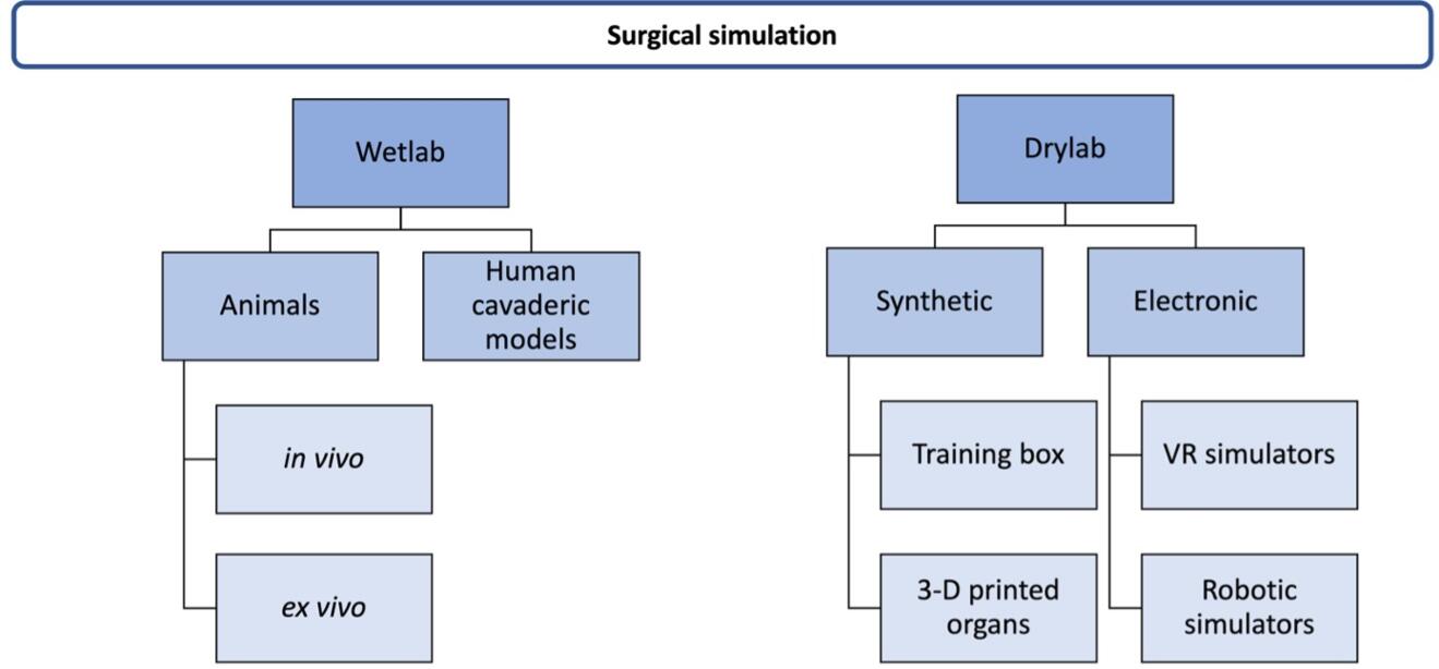 Figure 1.jpg