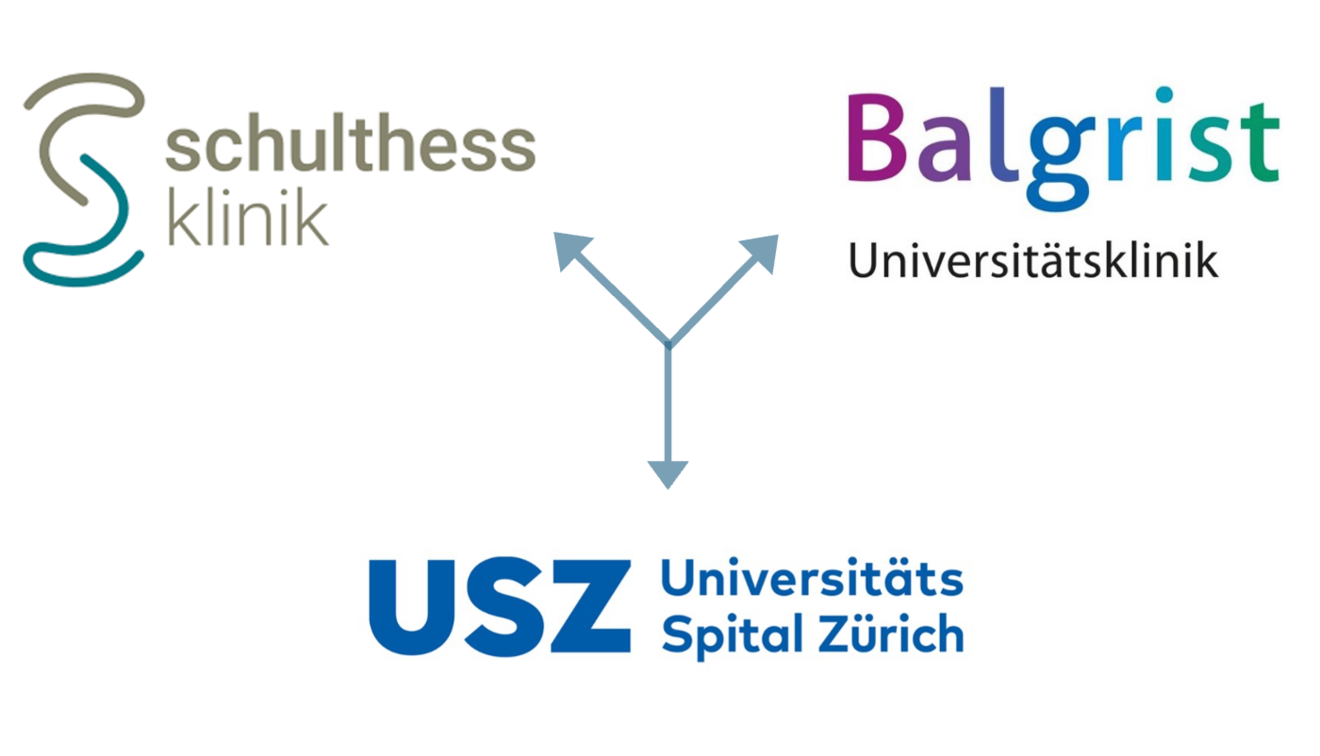 Zürcher Netzwerk.png