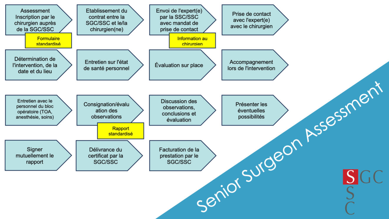 fig3_F_senior_surgeon_assessment.jpeg