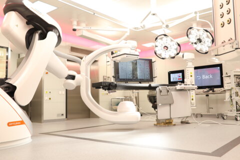Focus Gefässchirurgie